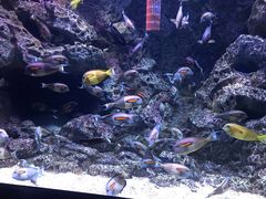 -成都浩海立方海洋公园