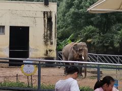 -无锡动物园·太湖欢乐园