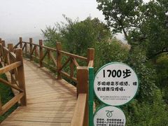 景点-大岭沟猕猴桃谷风景区