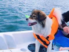 -仙海旅游度假区