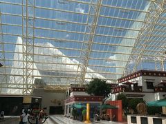 -拉萨圣地天堂洲际大饭店-自助餐厅