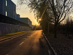 -吉林大学(前卫南区)