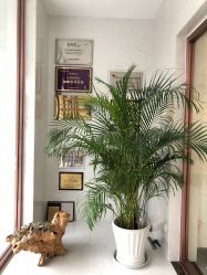 -美雅枫医疗美容医院