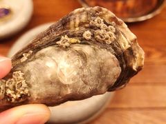 -斯普汇生蚝牛排馆(中骏世界城店)