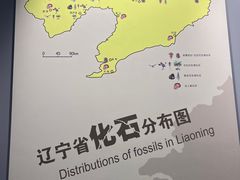 -辽宁古生物博物馆