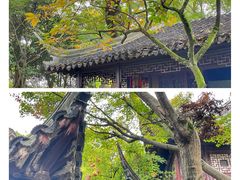 -留园