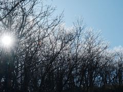 -安吉龙王山风景区