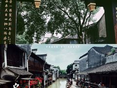 -乌镇东栅景区