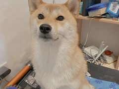 -About Bistro關於·泰式家庭料理