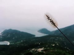 -南丫岛