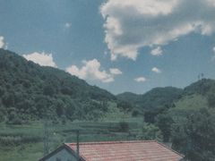 -关山草原