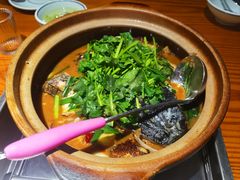 -九道菜有鸡鱼头(石鼓路店)