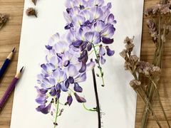 -八哥美术·成人美术画室(总校区)
