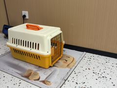 -瑞派康怡24h宠物医院·犬猫医疗中心·微创绝育(瑞景分院)