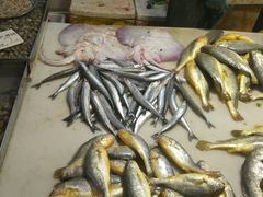 -大连熟食品交易中心
