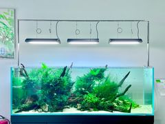 -ADA自然水景世界