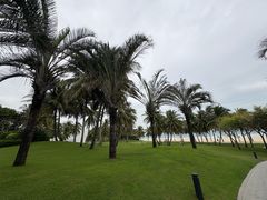 -海南清水湾莱佛士酒店