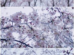 -江南大学(蠡湖校区)