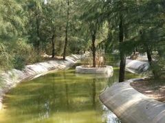 -北海金海湾红树林生态旅游区