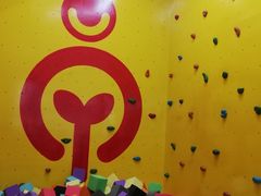 -早慧树儿童感觉统合体能训练中心(市北校区)