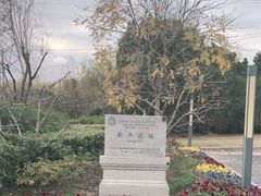 -上海崧泽遗址博物馆