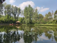 -溱湖国家湿地公园