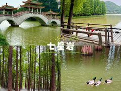 -鼎香皇高佬苏裹蒸粽