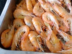 android_upload_pic-胶东海鲜大排档(北太平庄店)