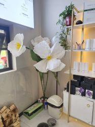 -阅年轻·AI家庭健康体质调理