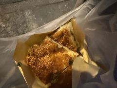 -潘记老面羌饼