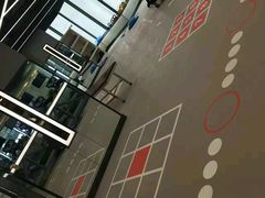 -金吉鸟健身游泳