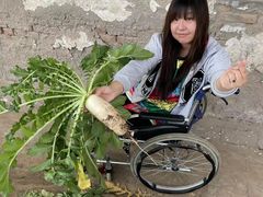 -精灵农庄