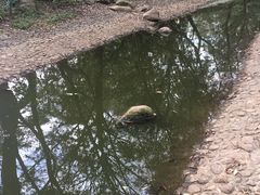 -人民公园(罗湖区)