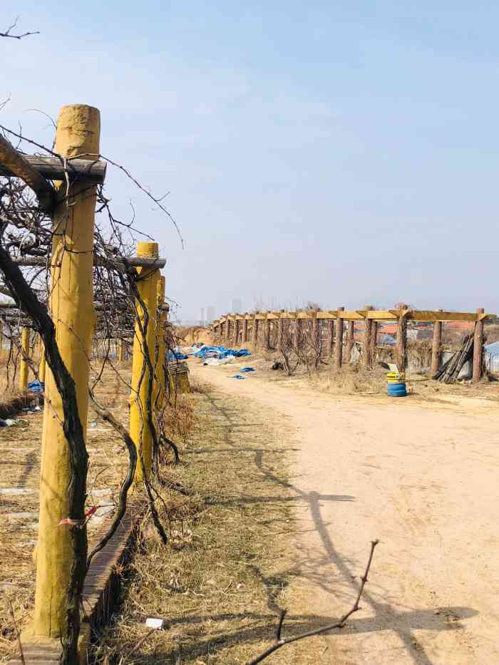 沐恩格林四季农场-"[糖果]又是带小仙女的一天今天天气不错.