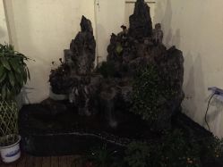 -素颜秀·纹眉·野生眉·纹唇半永久
