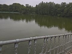 -东湖落雁景区