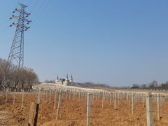 -北京张裕爱斐堡酒庄
