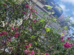 -福建中医药大学附属第二人民医院(本部)