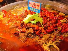 -吴星星毛血旺烤鱼