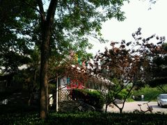 -回龙观体育文化公园