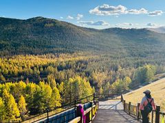 -莫尔道嘎国家森林公园