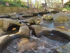 -成都市活水公园