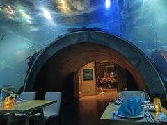 -涛·海底餐厅·美人鱼·自助餐·海底隧道(三亚海棠湾洲际度假酒店)