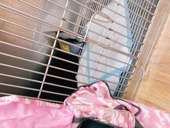 -荔康动物医院(康王北路店)