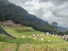 -龙岩森林水乡景区
