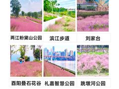 -南山植物园