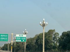 -双福水果批发市场