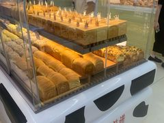 -红星前进面包牛奶公司(君太店)