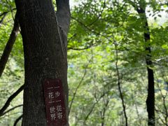 -沣峪森林公园龙潭戏水景区