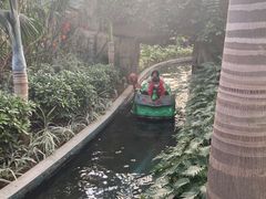 -南宫五洲植物乐园